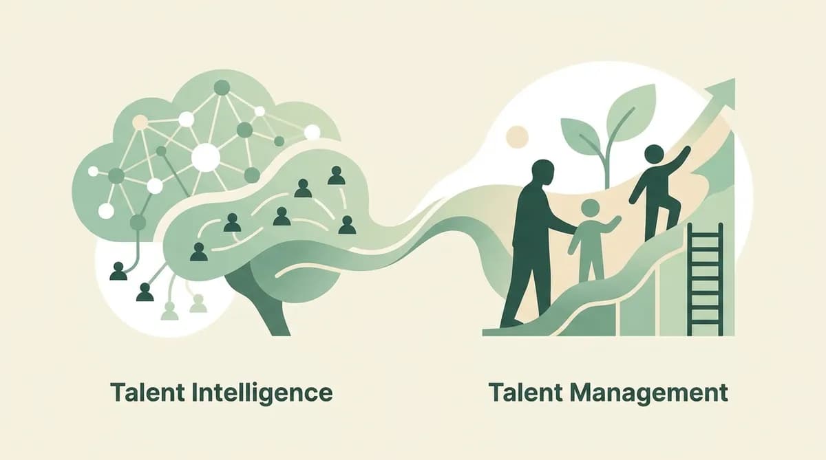 Talent Intelligence vs Talent Management: Key Differences